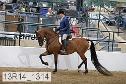 13r14_1314 proof