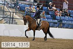 13r14_1315 proof