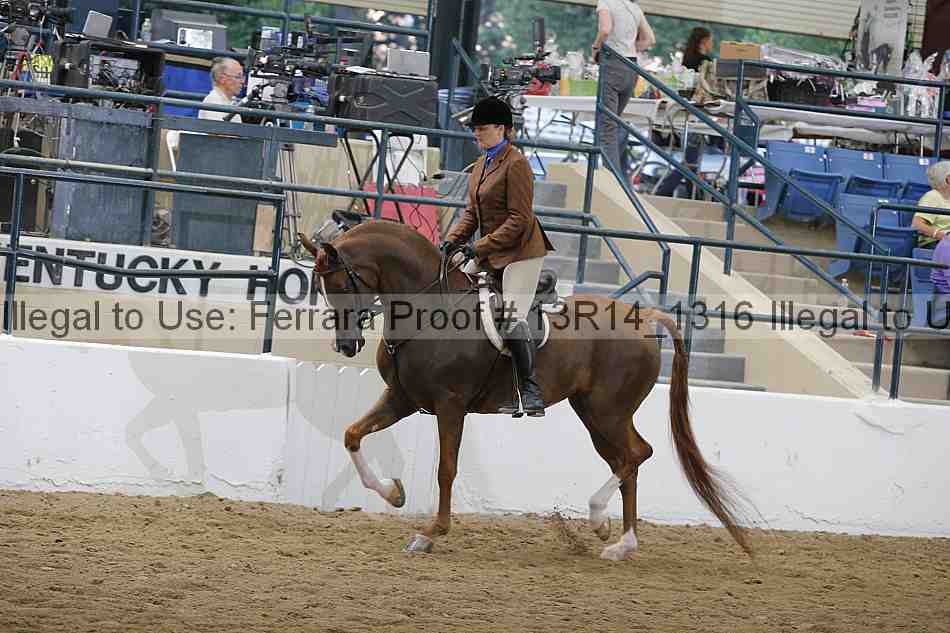Proof 13r14_1316