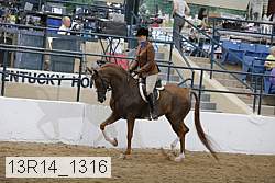 13r14_1316 proof