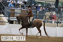 13r14_1317 proof