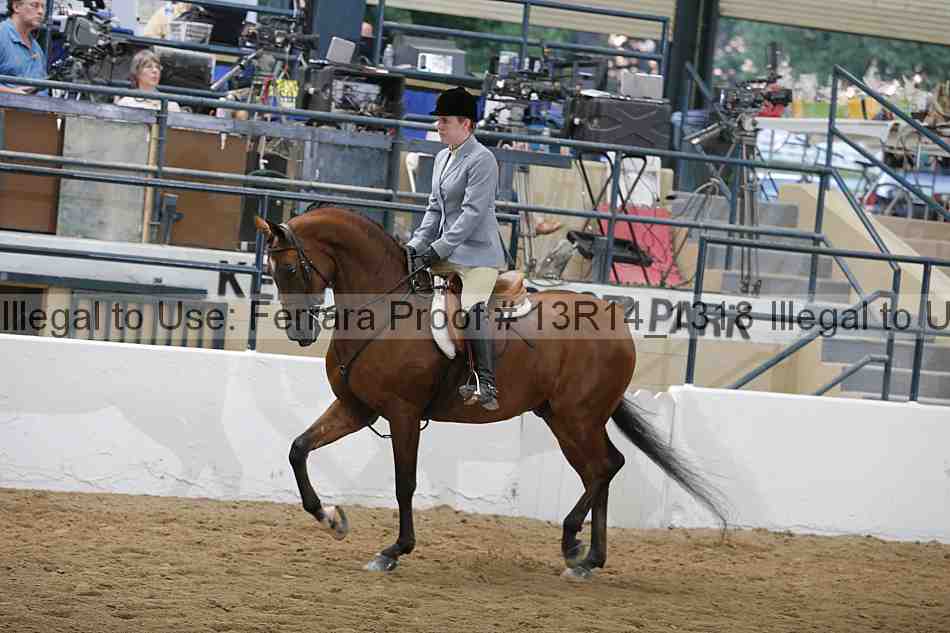 Proof 13r14_1318