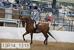 13r14_1318 proof