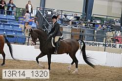 13r14_1320 proof