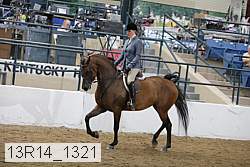 13r14_1321 proof