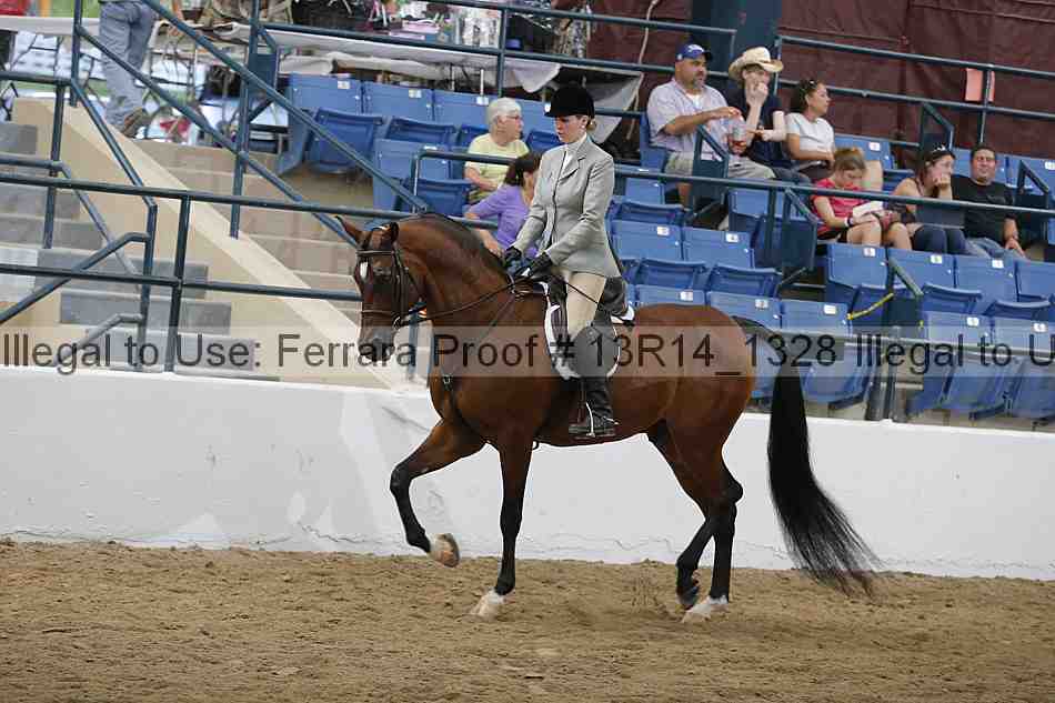 Proof 13r14_1328