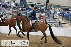 13r14_1329 proof