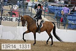 13r14_1331 proof