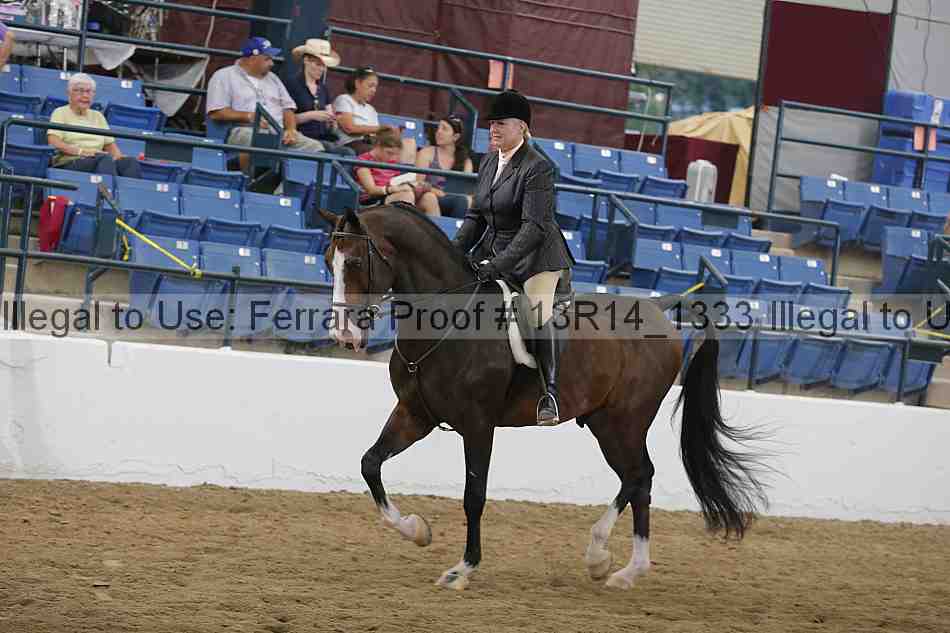 Proof 13r14_1333