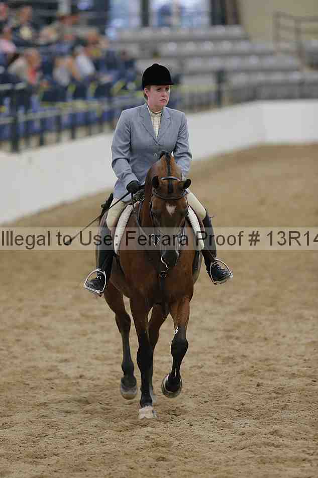 Proof 13r14_1334