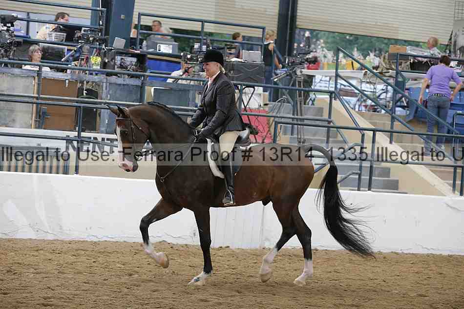Proof 13r14_1335