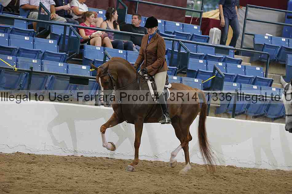 Proof 13r14_1336