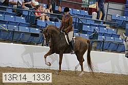 13r14_1336 proof