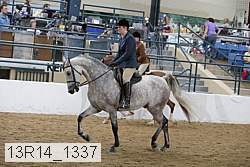 13r14_1337 proof