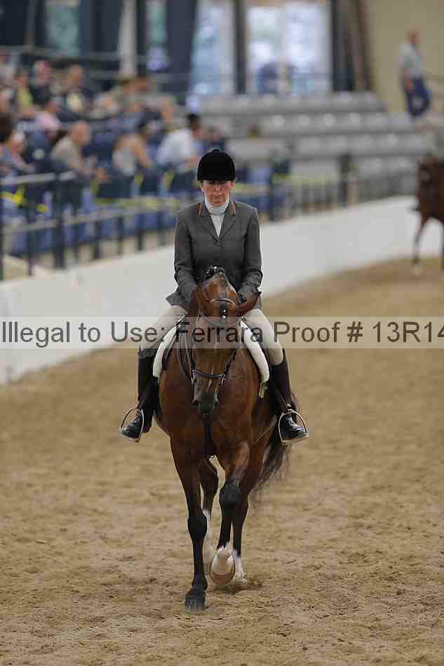 Proof 13r14_1338