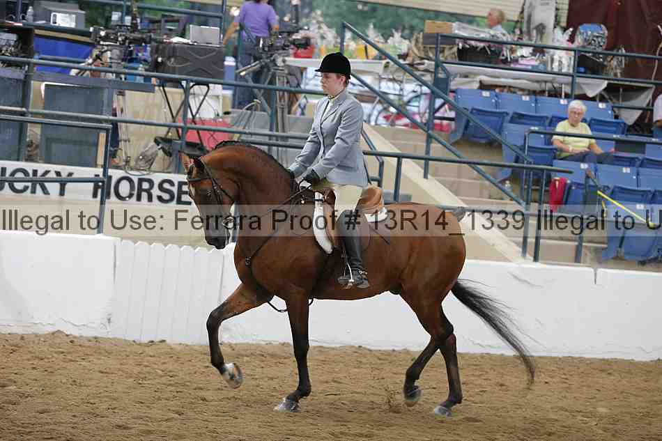 Proof 13r14_1339