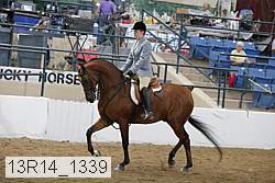 13r14_1339 proof