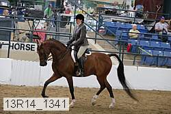 13r14_1341 proof