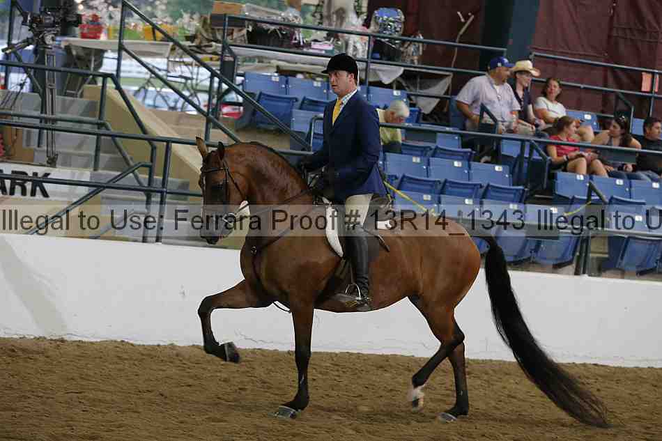Proof 13r14_1343