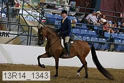 13r14_1343 proof