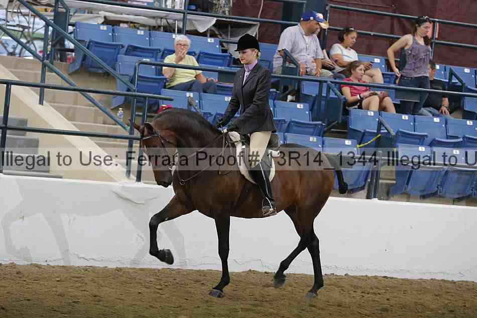 Proof 13r14_1344