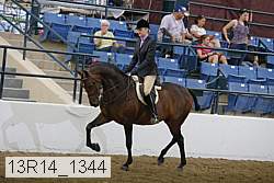 13r14_1344 proof