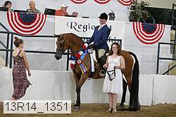 13r14_1351 proof
