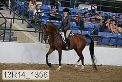 13r14_1356 proof