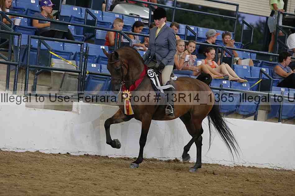 Proof 13r14_1365