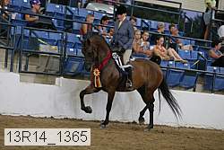 13r14_1365 proof