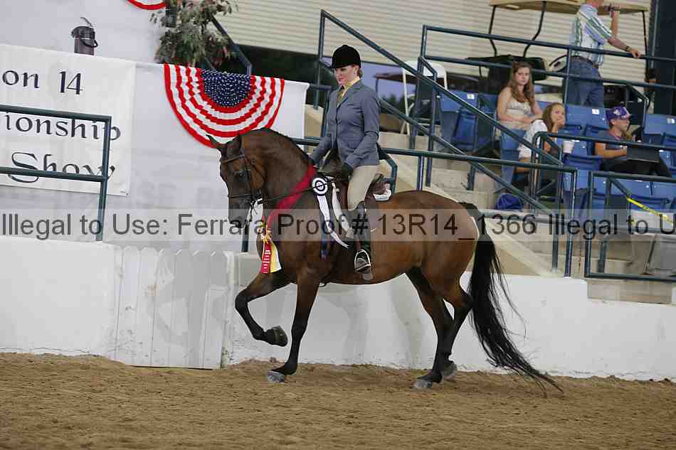 Proof 13r14_1366