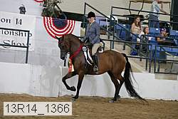 13r14_1366 proof
