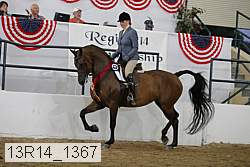 13r14_1367 proof