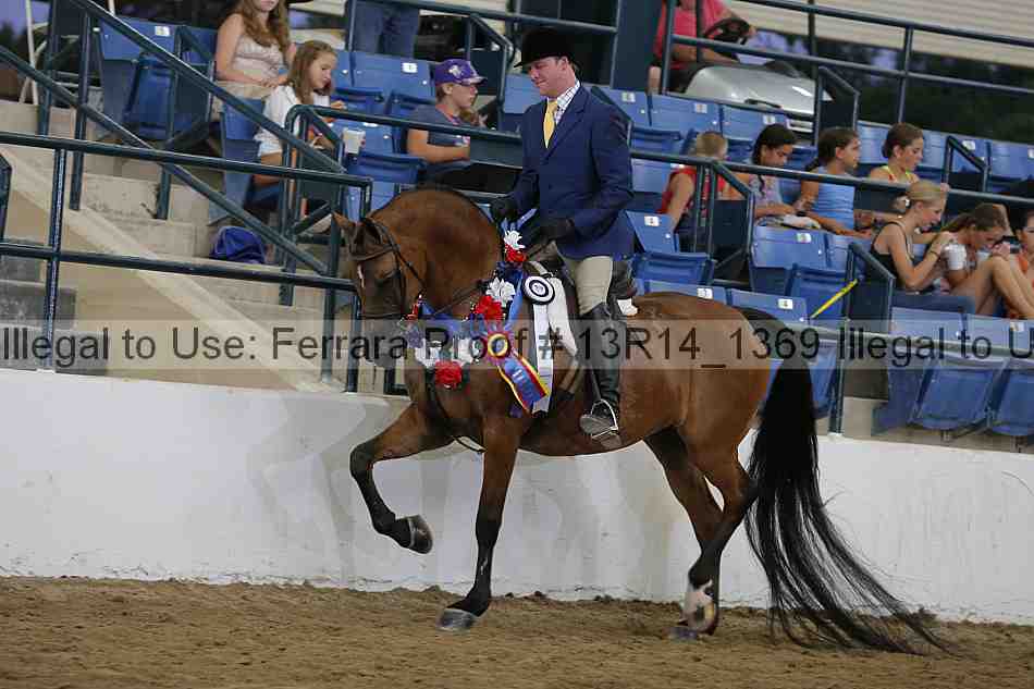 Proof 13r14_1369