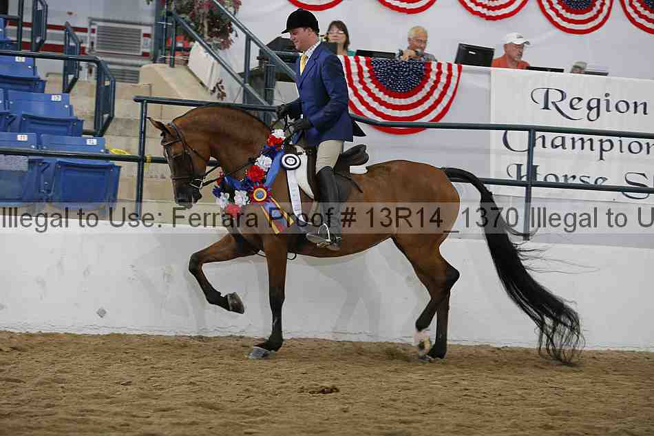 Proof 13r14_1370