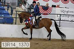 13r14_1370 proof