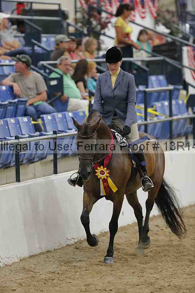 Proof 13r14_1371
