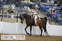 13r14_1375 proof