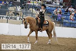 13r14_1377 proof