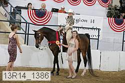 13r14_1386 proof