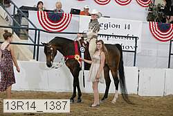 13r14_1387 proof