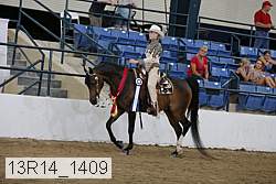 13r14_1409 proof