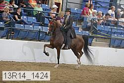 13r14_1424 proof