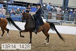 13r14_1428 proof