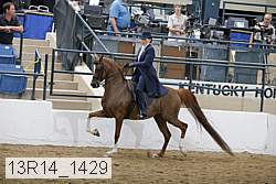 13r14_1429 proof