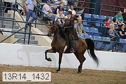 13r14_1432 proof