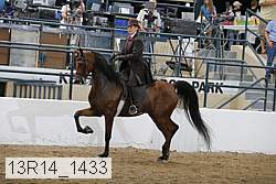 13r14_1433 proof