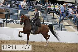 13r14_1439 proof