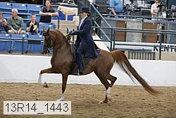 13r14_1443 proof