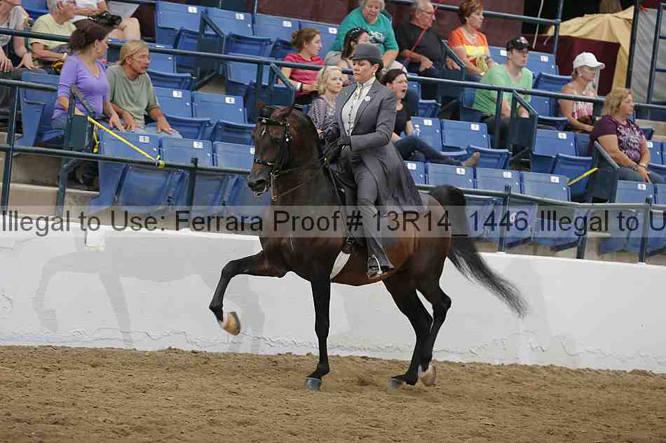 Proof 13r14_1446